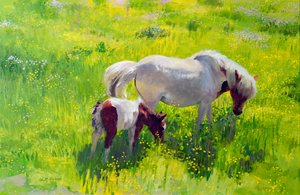 Piebald Horse and Foal